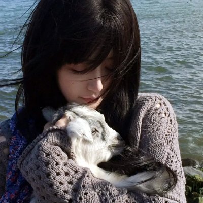 续韩国泪的小花